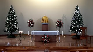 Christmas Trees Altar – Our Lady of Lourdes